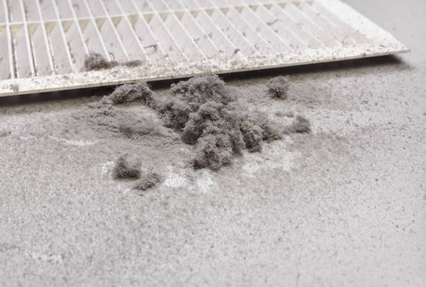 Best Affordable HVAC Duct Cleaning  in Whitinsville, MA